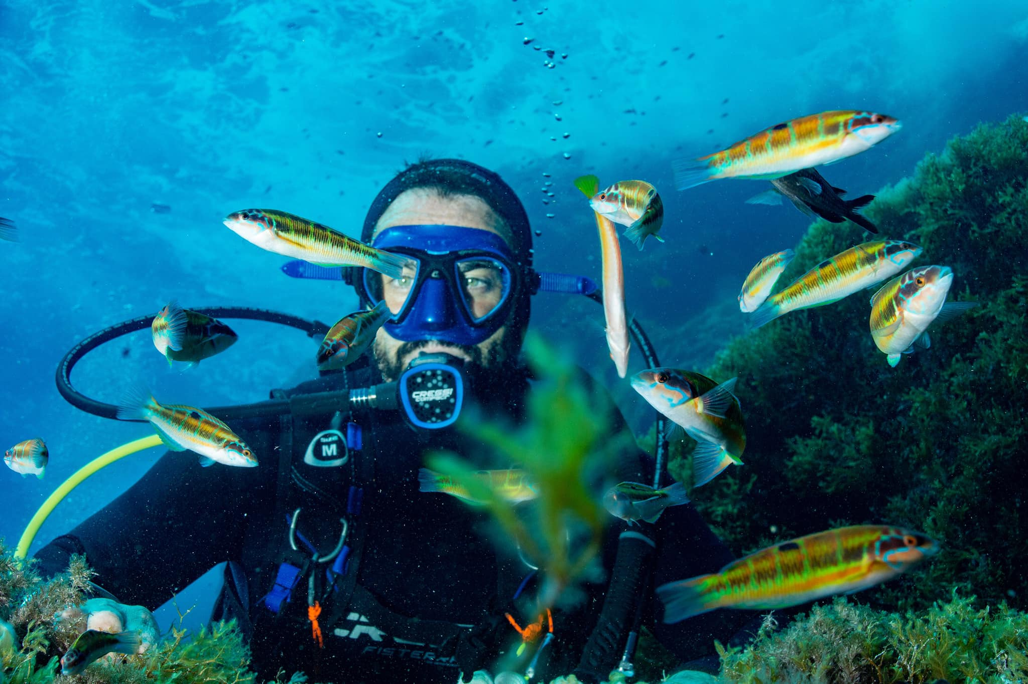 Descubre el Buceo